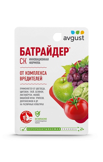 Батрайдер